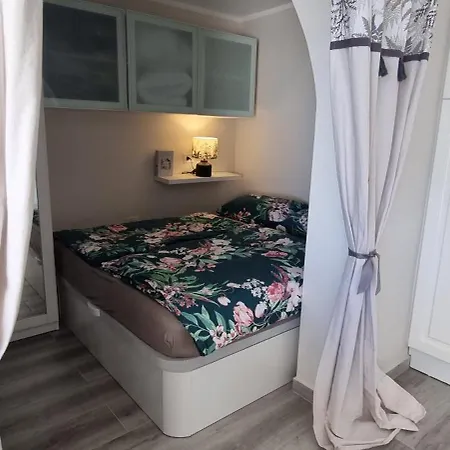 Apartment Tropical Leaves Puerto De La Cruz Tenerife *