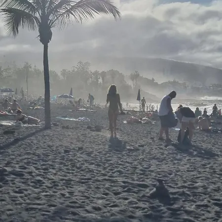 Tropical Leaves Puerto De La Cruz Tenerife 아파트 *