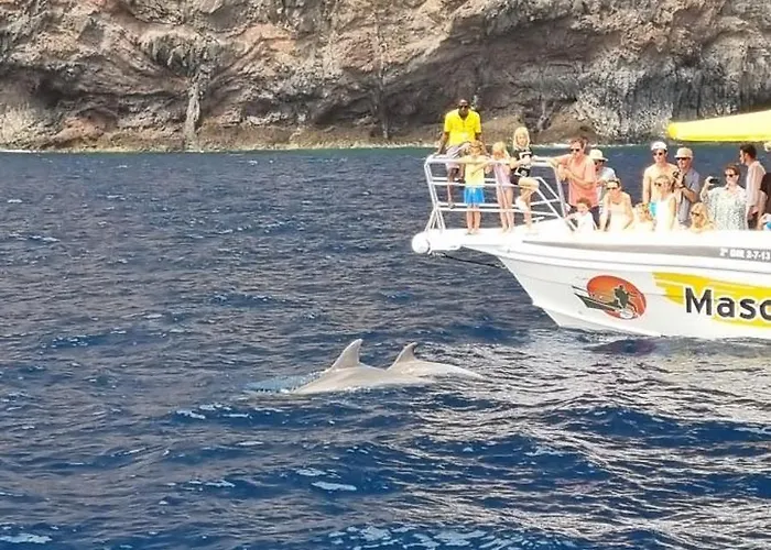 Tropical Leaves Puerto De La Cruz Tenerife 公寓 *