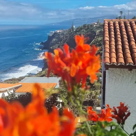 Lägenhet Tropical Leaves Puerto De La Cruz Tenerife *