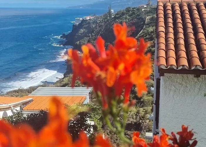 Lägenhet Tropical Leaves Puerto De La Cruz Tenerife *