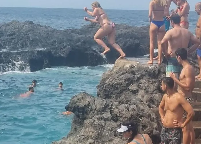 Tropical Leaves Puerto De La Cruz Tenerife