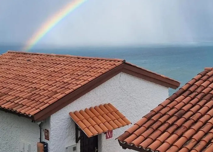 Tropical Leaves Puerto De La Cruz Tenerife