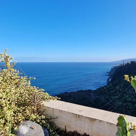 Tropical Leaves Puerto De La Cruz Tenerife Apartman Los Realejos