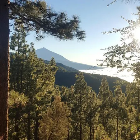 Apartman Tropical Leaves Puerto De La Cruz Tenerife *