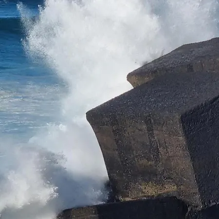 Tropical Leaves Puerto De La Cruz Tenerife *