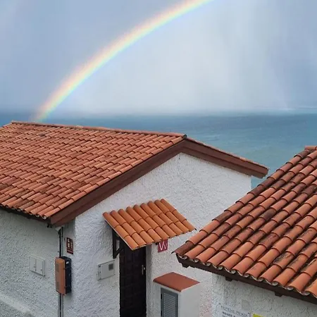 Tropical Leaves Puerto De La Cruz Tenerife