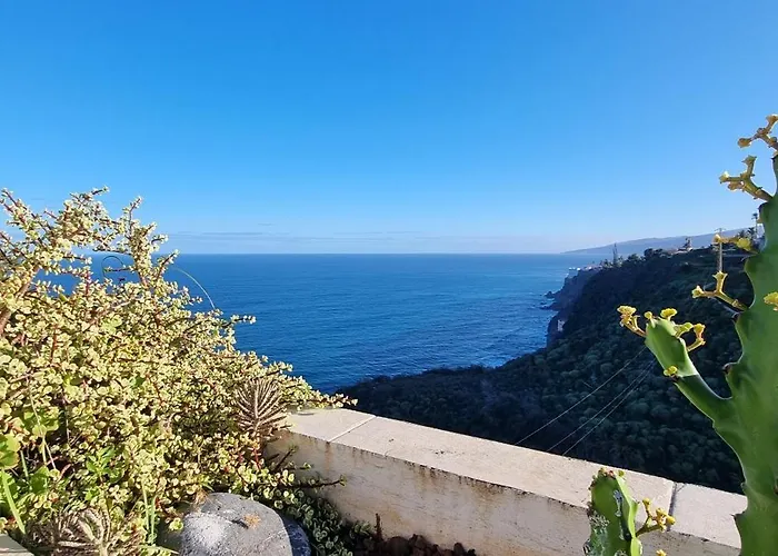 Tropical Leaves Puerto De La Cruz Tenerife 아파트 로스 레알레호스