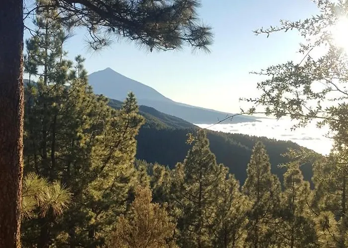아파트 Tropical Leaves Puerto De La Cruz Tenerife *
