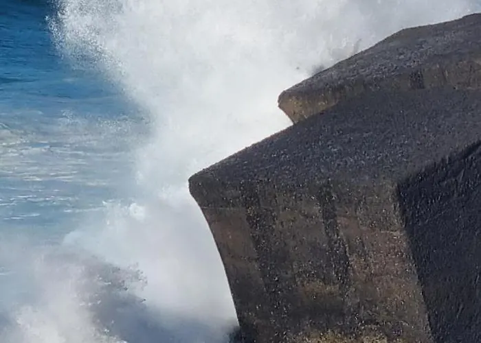 Tropical Leaves Puerto De La Cruz Tenerife *