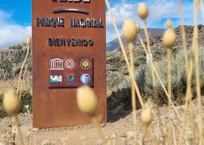 Tropical Leaves Puerto De La Cruz Tenerife 로스 레알레호스